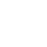 Standard Icon